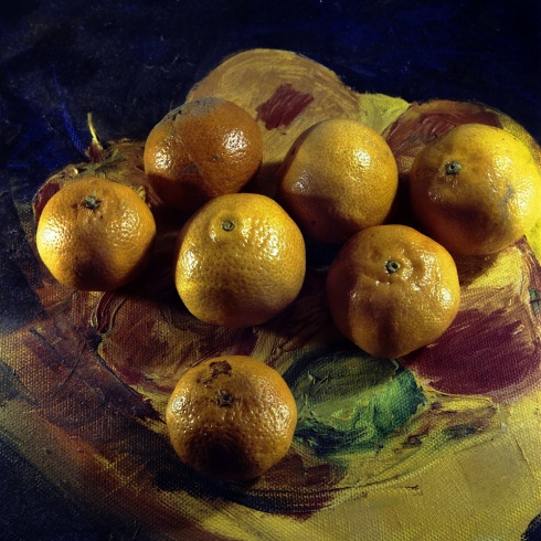 Old tangerines, well past their prime